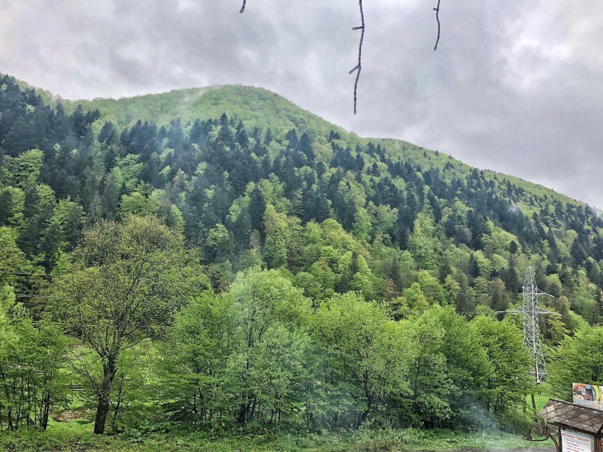 Мотель Царська гора Mizhhirya  Экстерьер фото